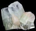 Zoned Apophyllite Crystal Cluster with Stilbite - India #44441-1